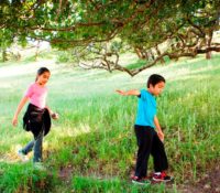 Two children and an adult walking on a trail through a green field with big trees in background