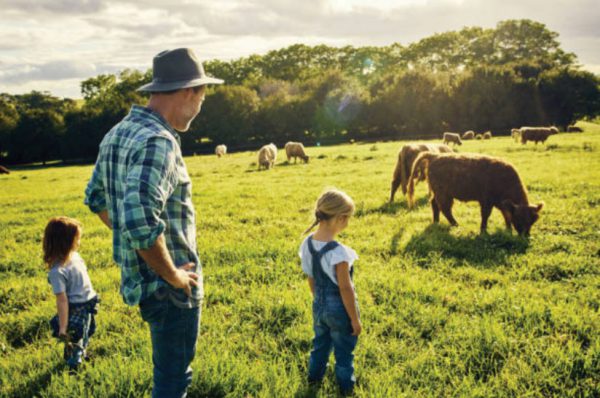 A rancher and his children looking at his cattle